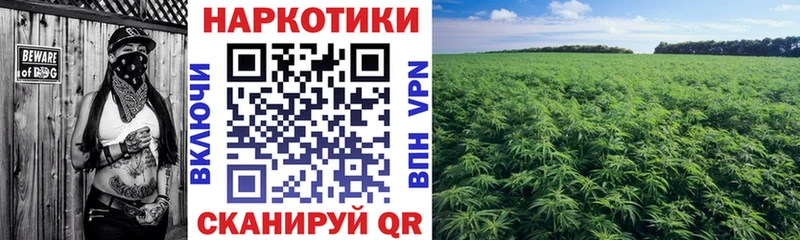 Где найти наркотики Новоржев Канабис Cocaine СОЛЬ Гашиш