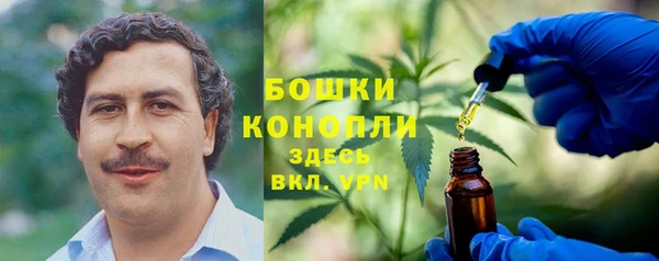 стаф Нягань