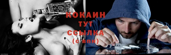 МДПВ Новозыбков