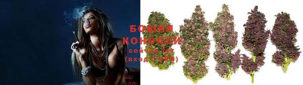 сатива Болхов