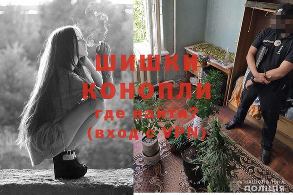 МДПВ Новозыбков