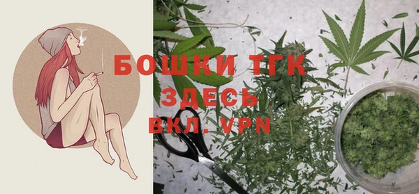 стаф Нягань
