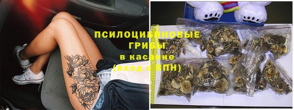 стаф Нягань