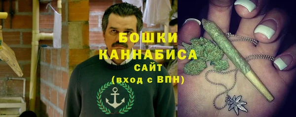 гашик Новодвинск