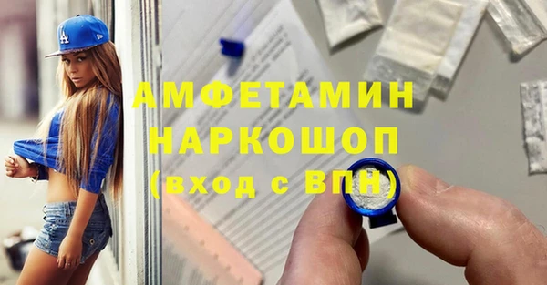 гашик Болотное